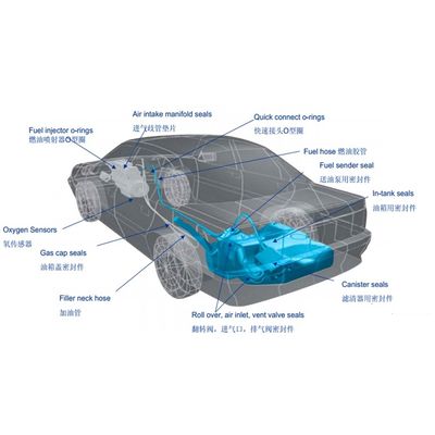 FKM de liaison métallique pour joints d'huile 12 MPa résistance à la traction Fluoroélastomère