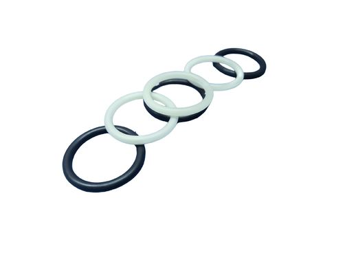 Résistance à la traction 20Mpa FFKM O Rings résistant au vieillissement et à des températures extrêmes pour les environnements difficiles